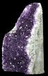 Dark Purple Amethyst Cluster On Wood Base #46256-2